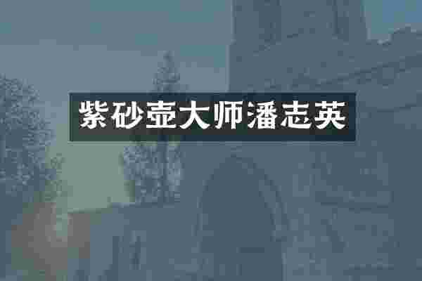 紫砂壶大师潘志英