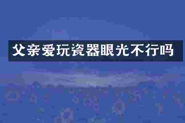 父亲爱玩瓷器眼光不行吗
