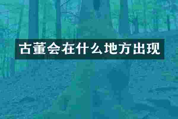 古董会在什么地方出现