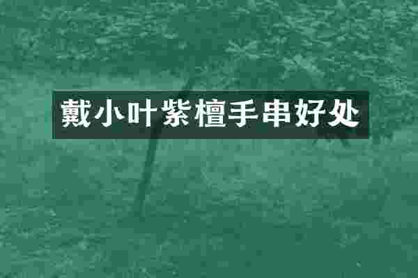 戴小叶紫檀手串好处