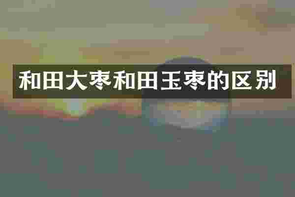 和田大枣和田玉枣的区别