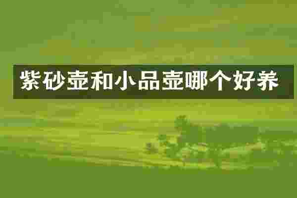 紫砂壶和小品壶哪个好养