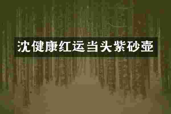 沈健康红运当头紫砂壶