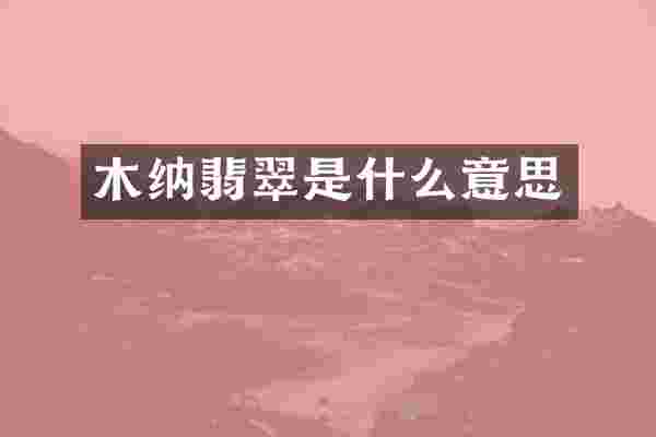 木纳翡翠是什么意思