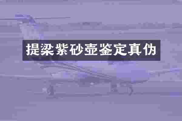 提梁紫砂壶鉴定真伪