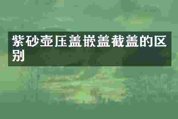紫砂壶压盖嵌盖截盖的区别
