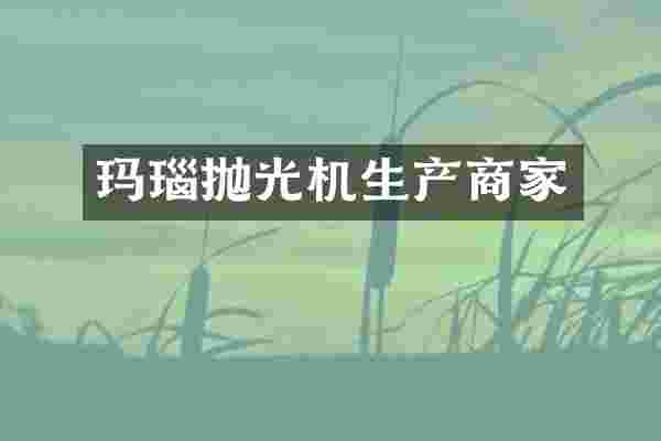 玛瑙抛光机生产商家