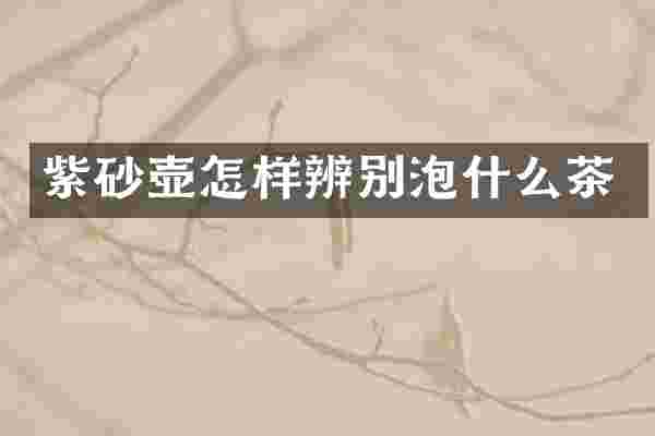 紫砂壶怎样辨别泡什么茶