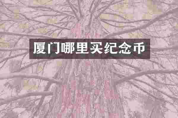 厦门哪里买纪念币