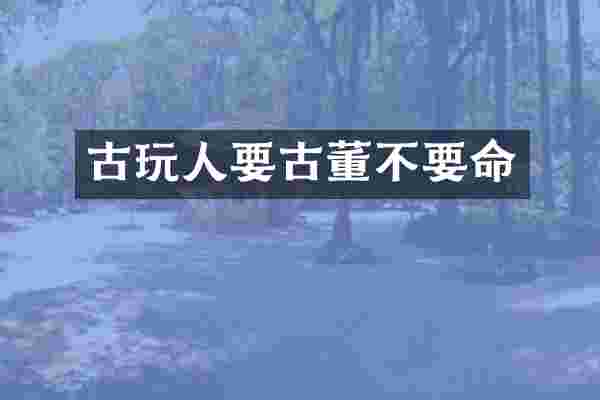 古玩人要古董不要命