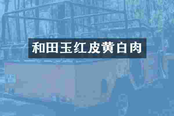 和田玉红皮黄白肉