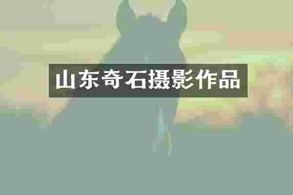 山东奇石摄影作品