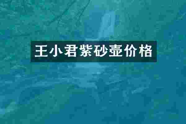 王小君紫砂壶价格