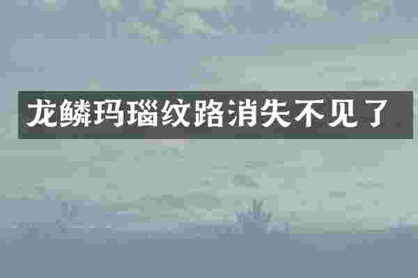 龙鳞玛瑙纹路消失不见了