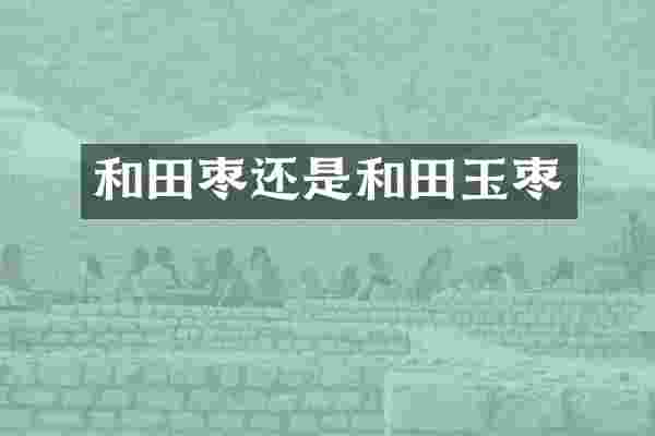 和田枣还是和田玉枣
