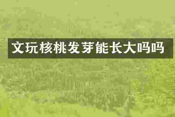 文玩核桃发芽能长大吗吗