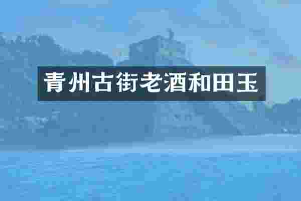 青州古街老酒和田玉
