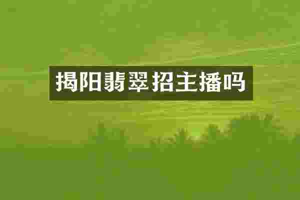 揭阳翡翠招主播吗