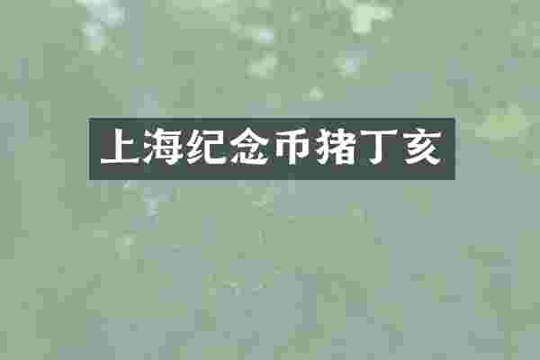 上海纪念币猪丁亥