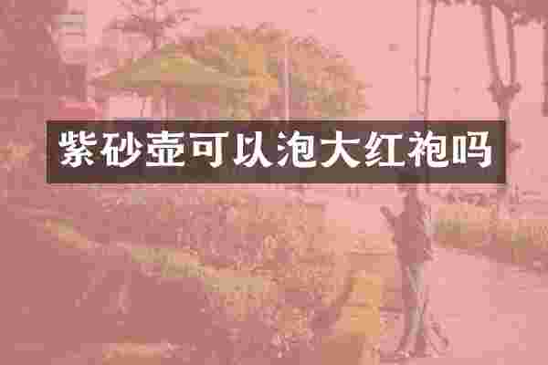 紫砂壶可以泡大红袍吗