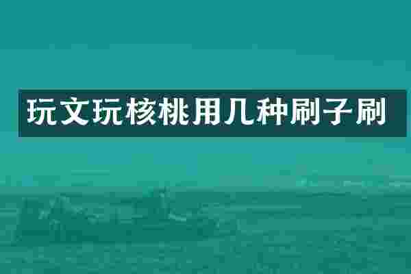 玩文玩核桃用几种刷子刷