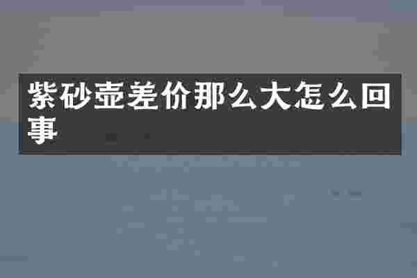 紫砂壶差价那么大怎么回事