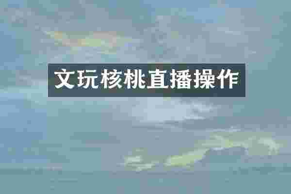 文玩核桃直播操作