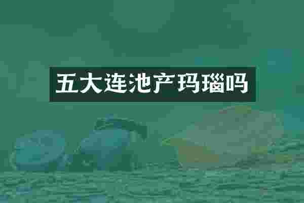 五大连池产玛瑙吗