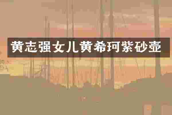 黄志强女儿黄希珂紫砂壶