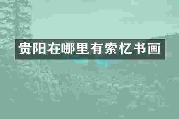 贵阳在哪里有索忆书画