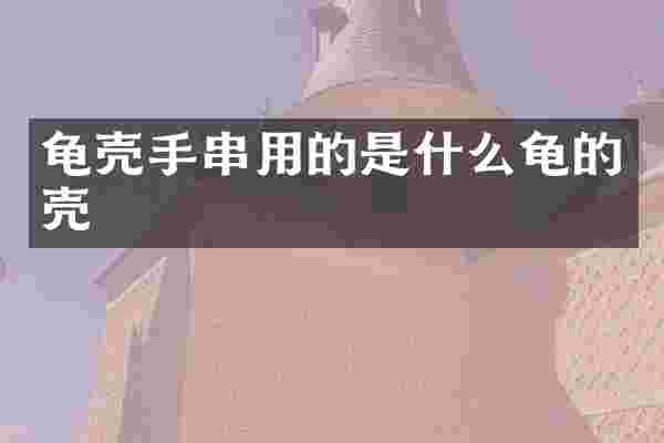 龟壳手串用的是什么龟的壳