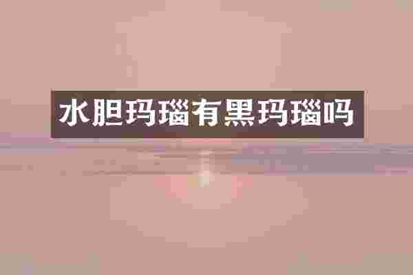 水胆玛瑙有黑玛瑙吗