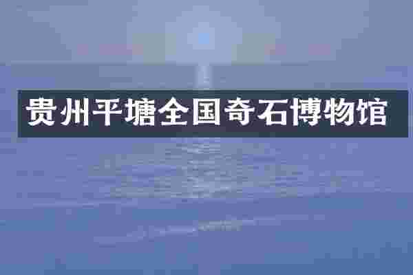 贵州平塘全国奇石博物馆