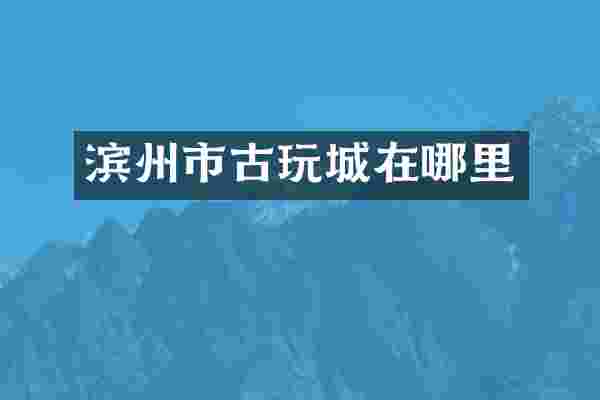 滨州市古玩城在哪里