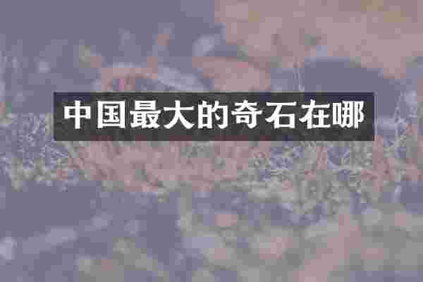 中国最大的奇石在哪