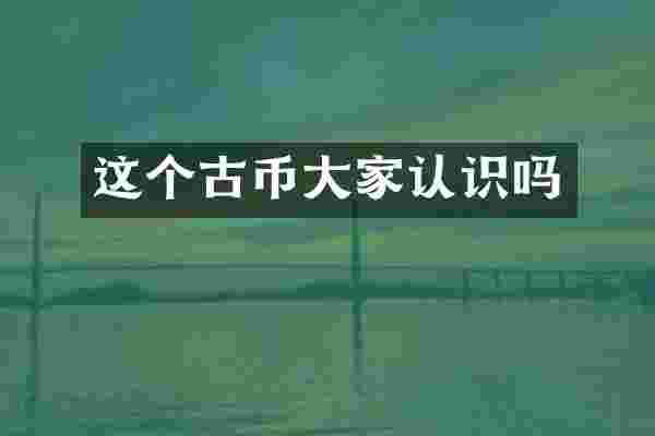 这个古币大家认识吗