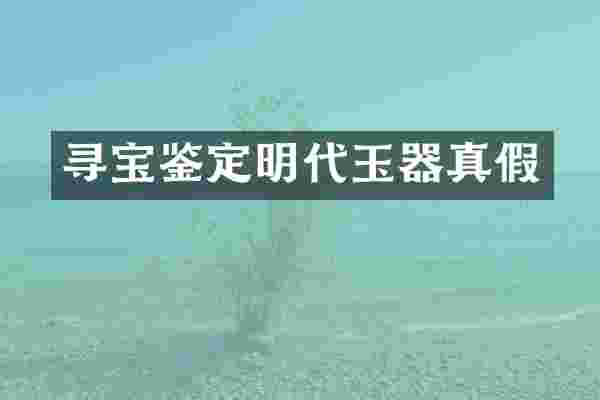 寻宝鉴定明代玉器真假