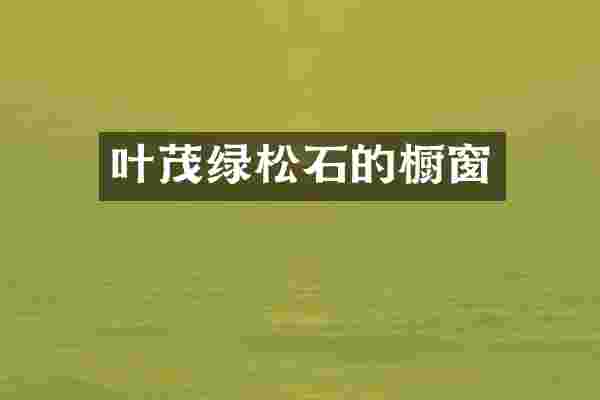 叶茂绿松石的橱窗