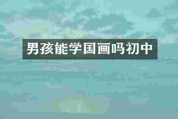 男孩能学国画吗初中