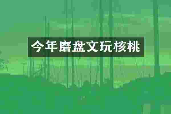 今年磨盘文玩核桃