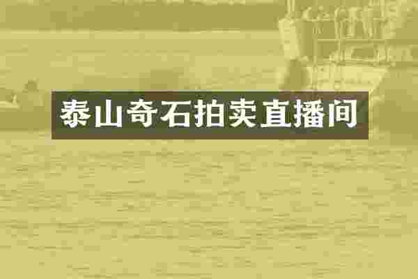 泰山奇石拍卖直播间