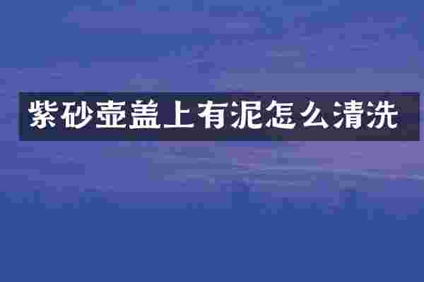 紫砂壶盖上有泥怎么清洗