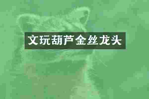 文玩葫芦金丝龙头