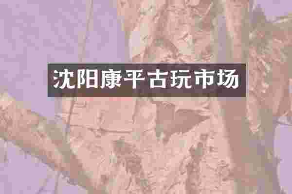 沈阳康平古玩市场