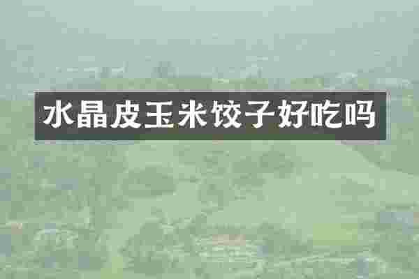 水晶皮玉米饺子好吃吗