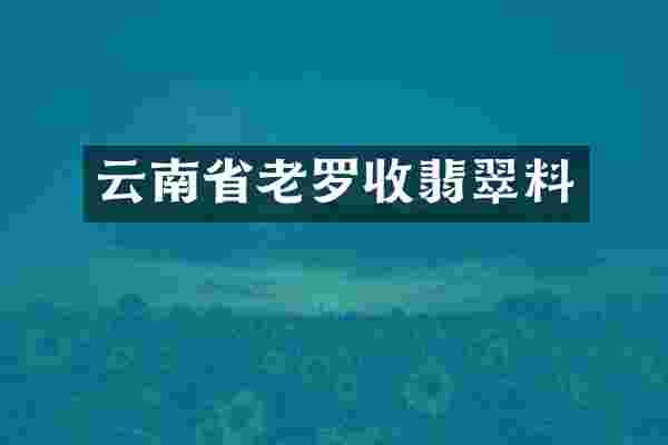 云南省老罗收翡翠料