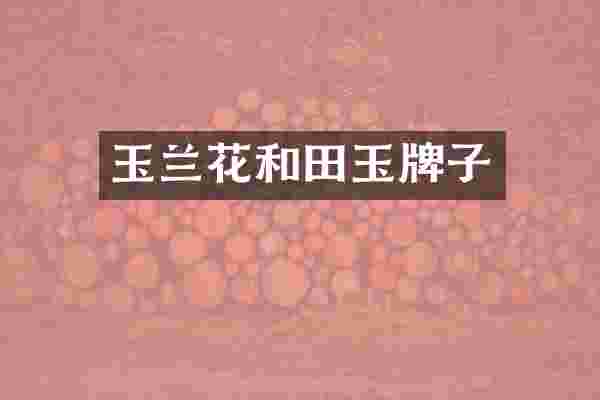玉兰花和田玉牌子