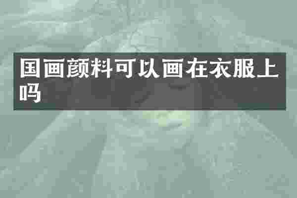 国画颜料可以画在衣服上吗
