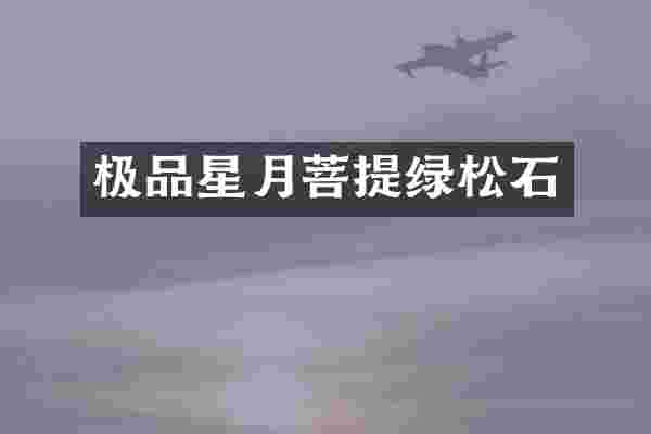 极品星月菩提绿松石