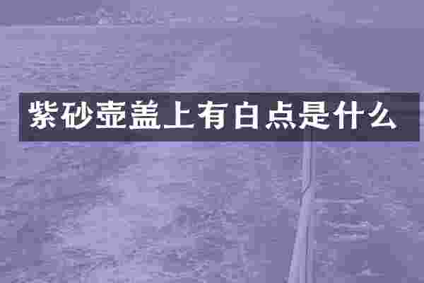 紫砂壶盖上有白点是什么